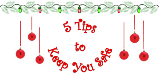 Garage Door Safety for the holidays 5 tips
